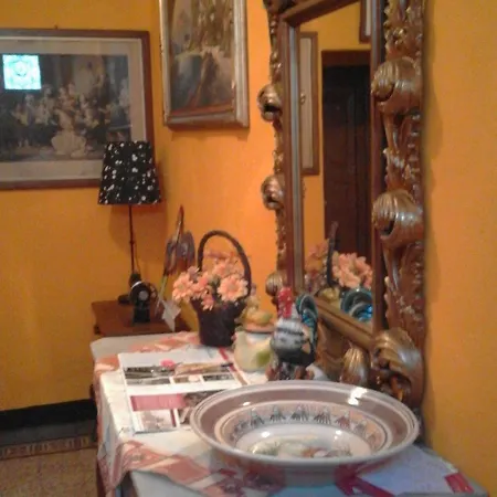Gallo Pappa 3*